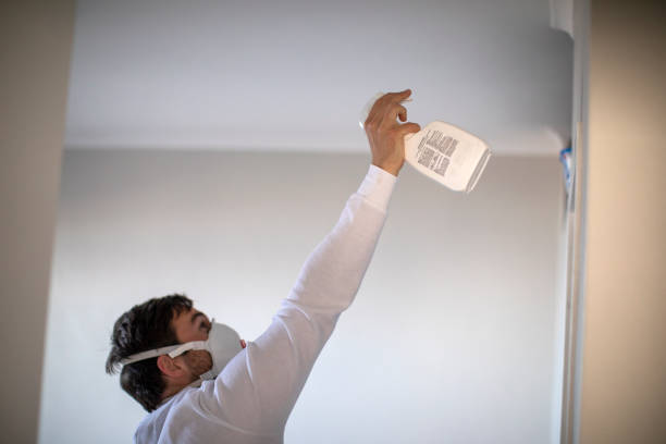 Best Black Mold Removal  in Ossian, IN