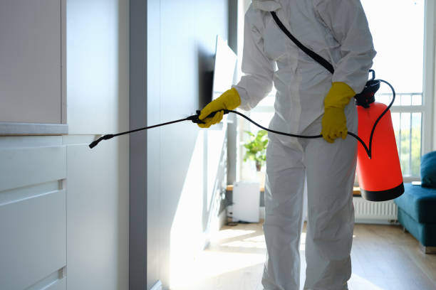 Best Office Mold Removal Services  in Ossian, IN
