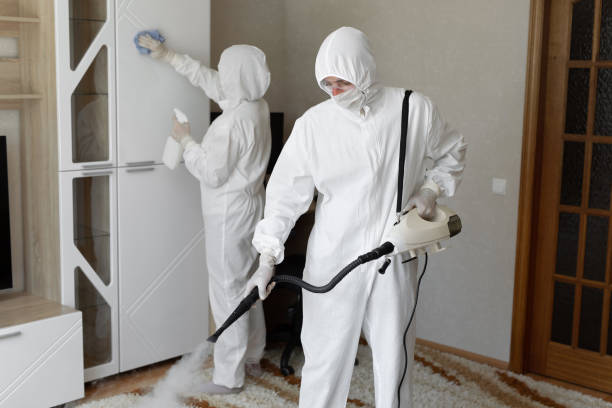 Best Commercial Mold Removal  in Ossian, IN